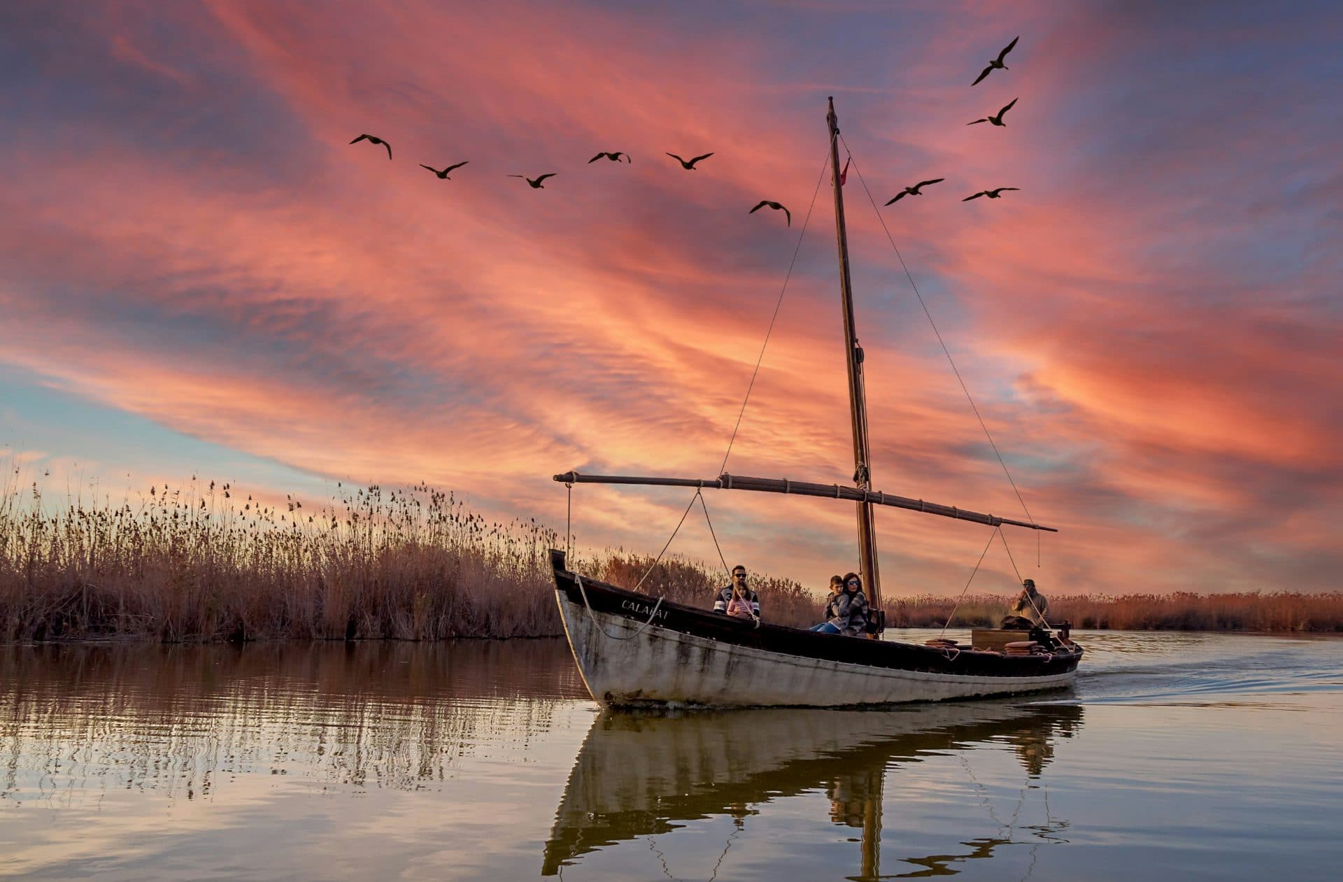 Naturaleza y Excursiones: Descubre la Albufera