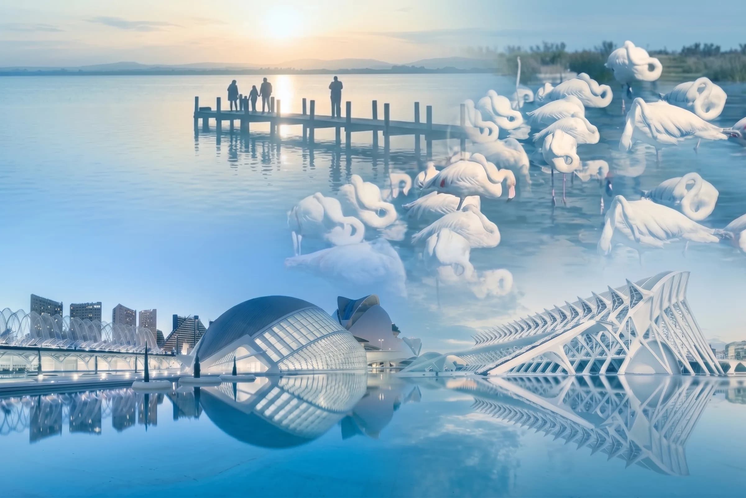 Valencia: la Albufera con embarcadero al amanecer, flamencos y la Ciudad de las Artes y las Ciencias